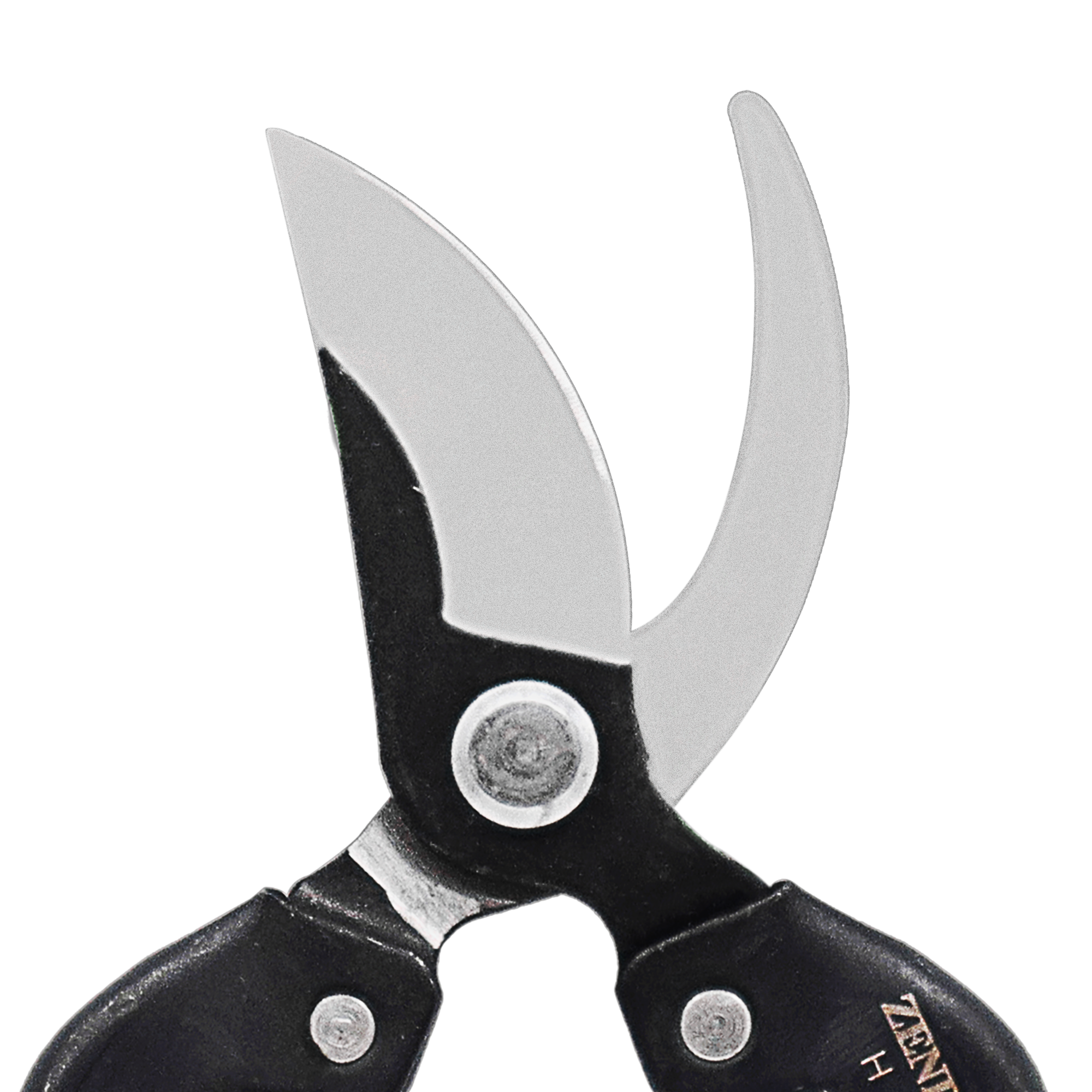 A generic image