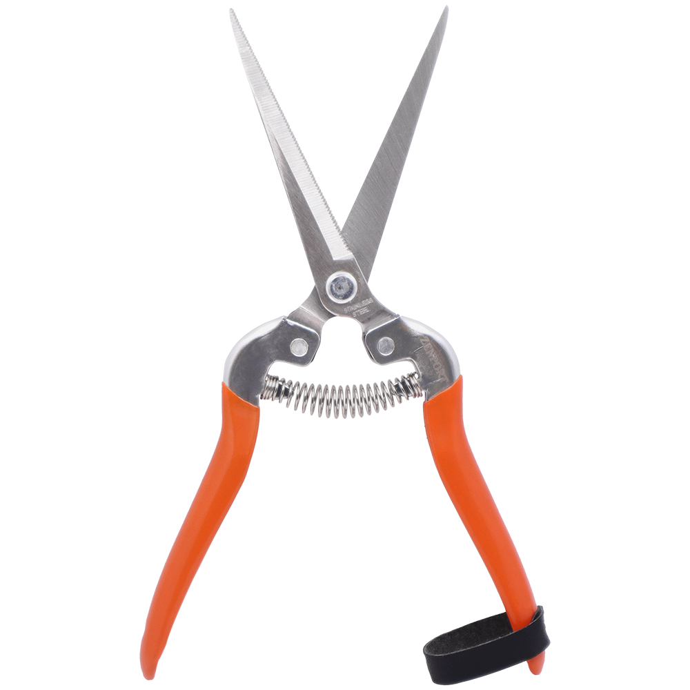 Zenport Shear H312 3.25-inch Blade, Serrated Stainless Steel, harvesting, thinning, pruning and floral arrangements (image for) Zenport Shear H312 3.25-inch Blade, Serrated Stainless Steel, harvesting, thinning, pruning and floral arrangements