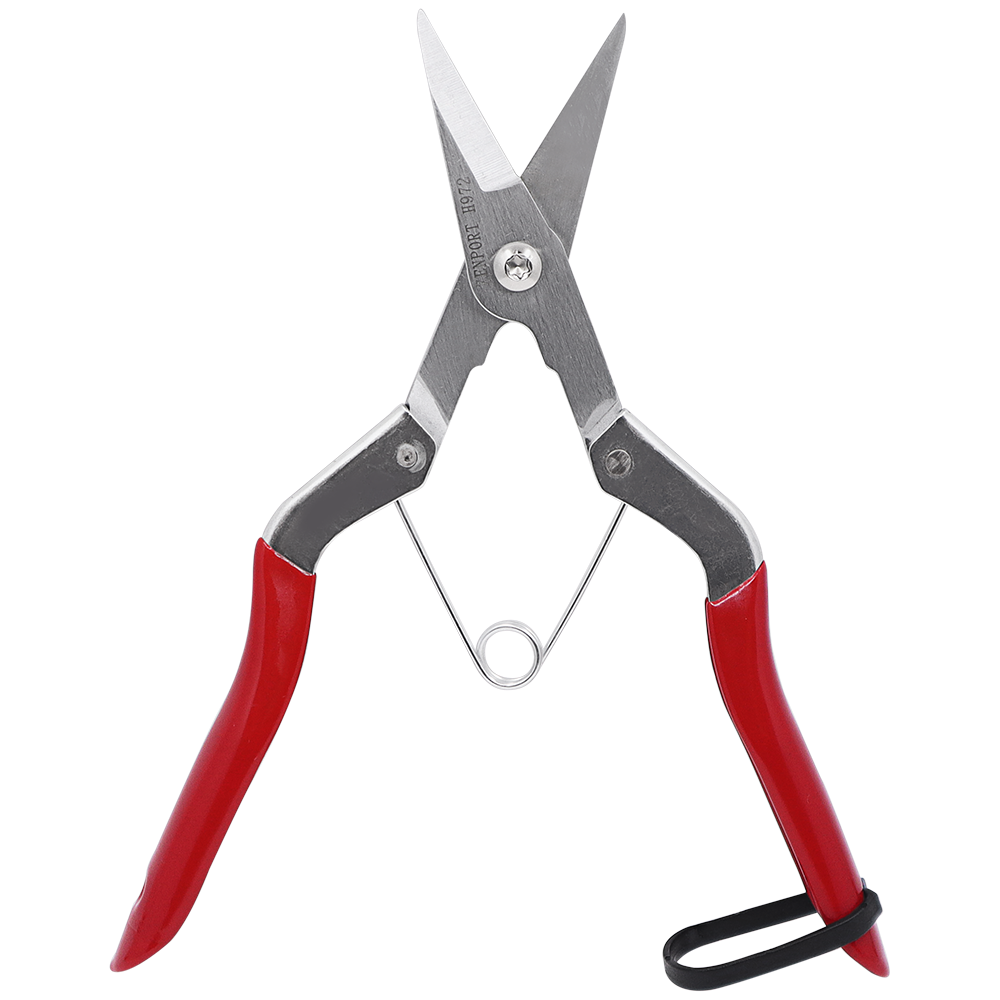Zenport Shears H972 Long Deluxe Thinning Pomelo Shear 210cm 8.25-Inch Long with Wishbone Spring (image for) Zenport Shears H972 Long Deluxe Thinning Pomelo Shear 210cm 8.25-Inch Long with Wishbone Spring
