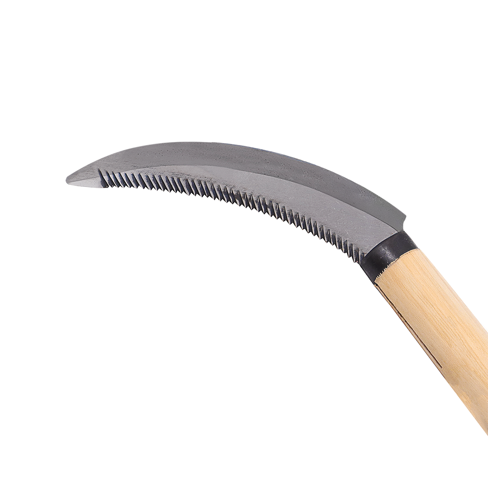 A generic image
