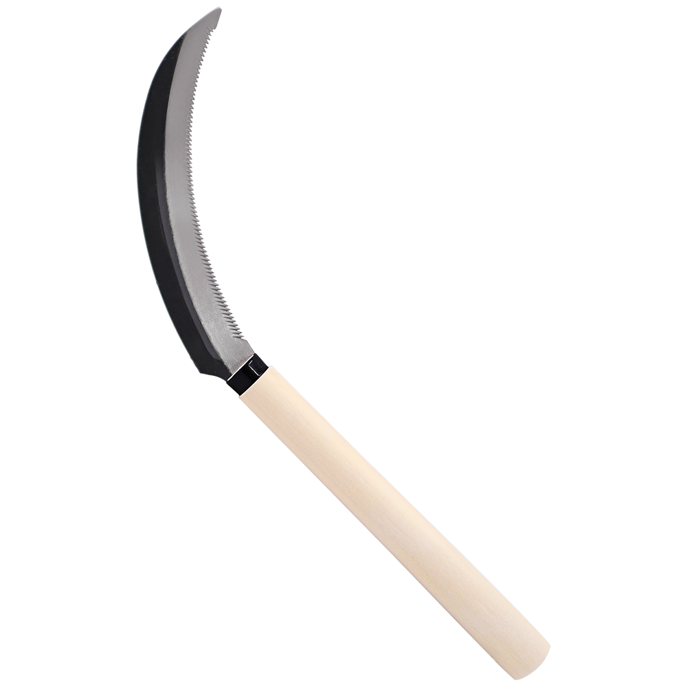 A generic image