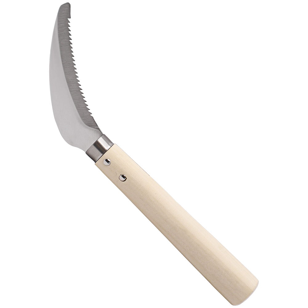 A generic image