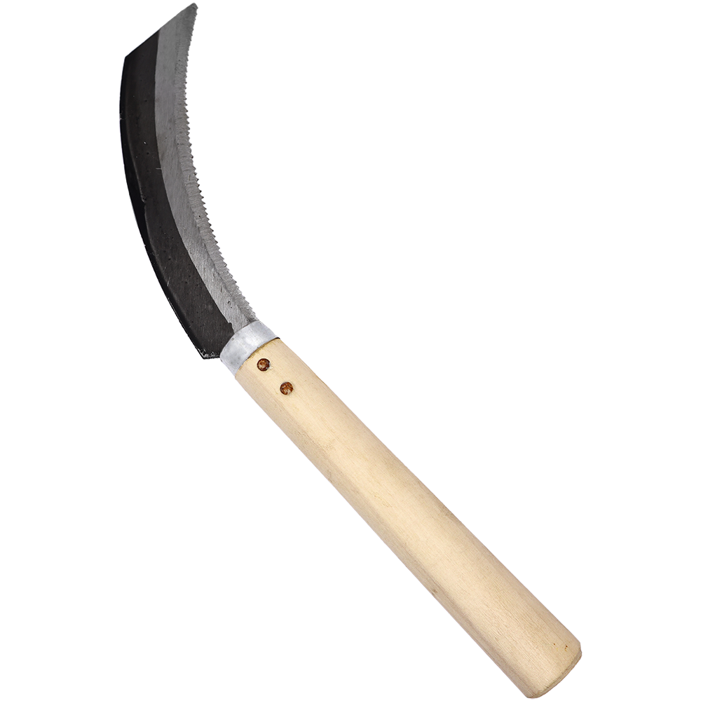 A generic image