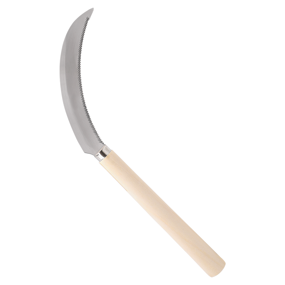 A generic image