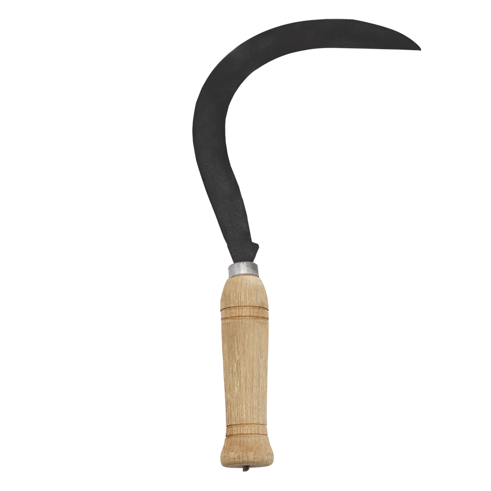 A generic image