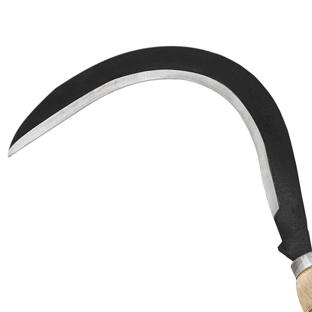 A generic image