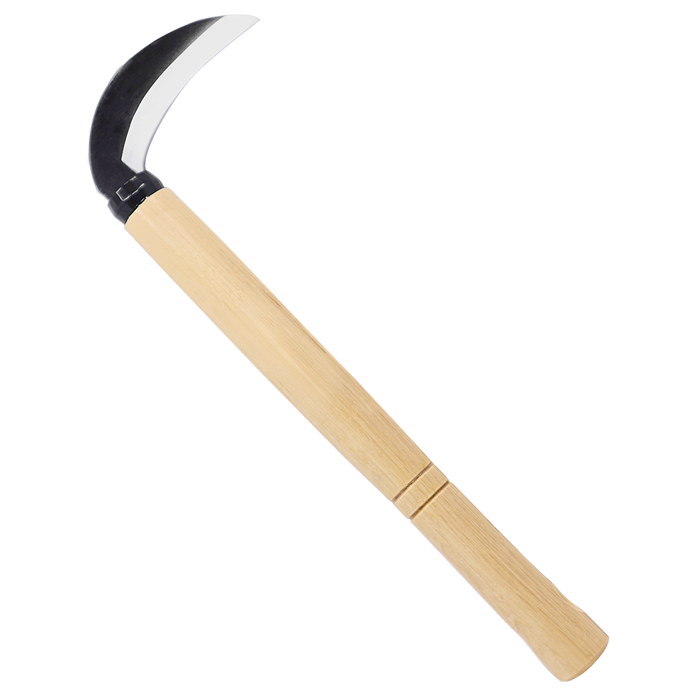 A generic image