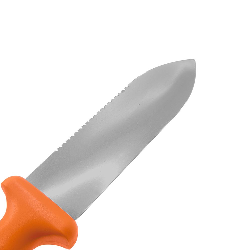 A generic image