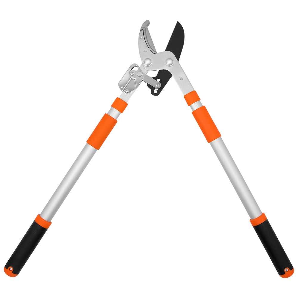 (image for) Zenport Lopper LRT11 Telescopic Ratchet Anvil Lopper, 30-Inch to 42-Inch