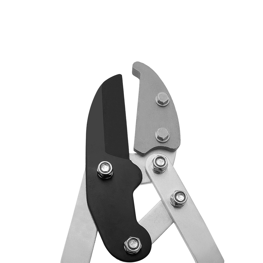 A generic image