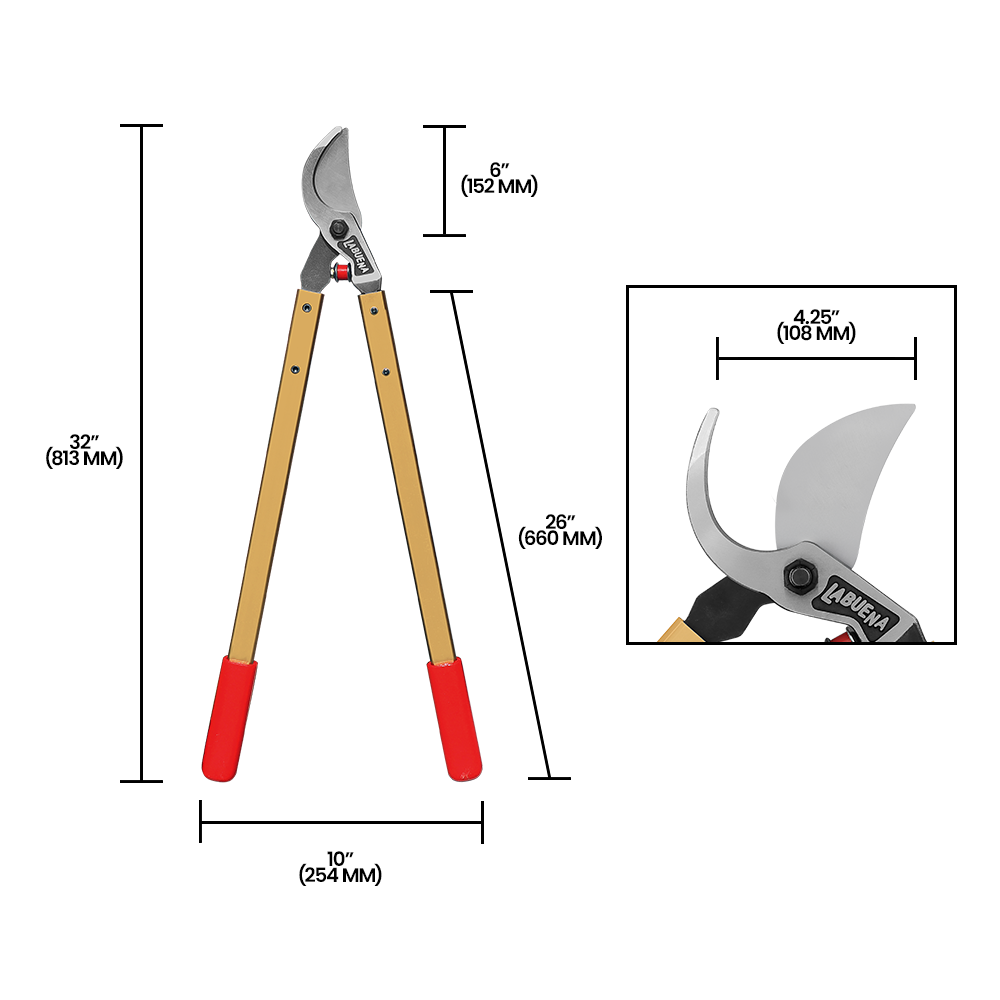 A generic image