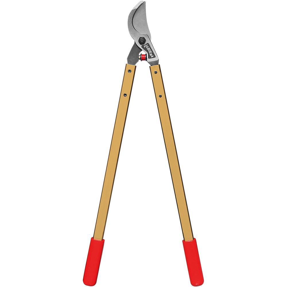 (image for) Loppers