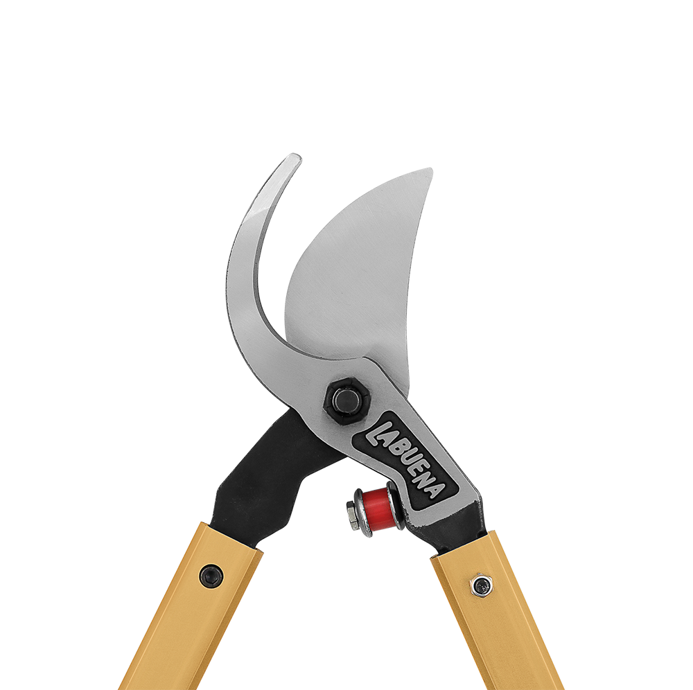 A generic image