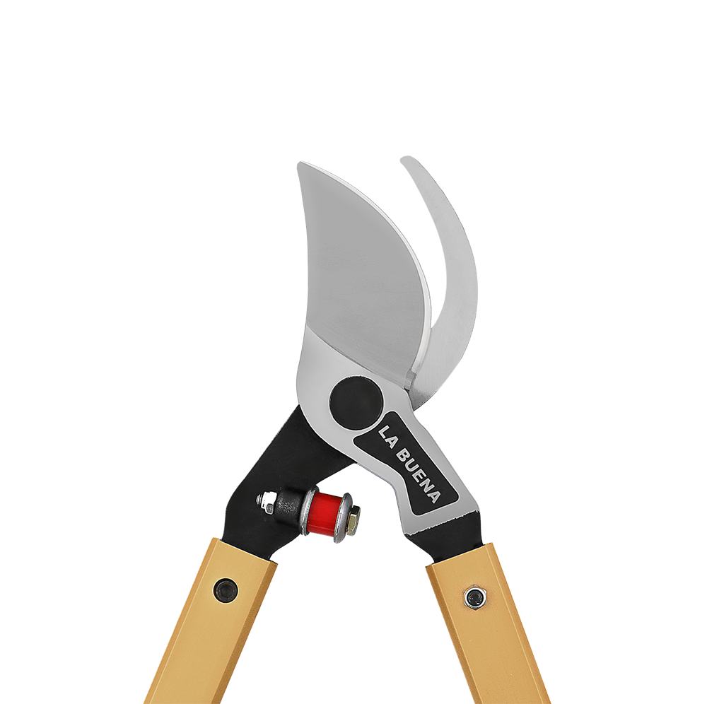 A generic image