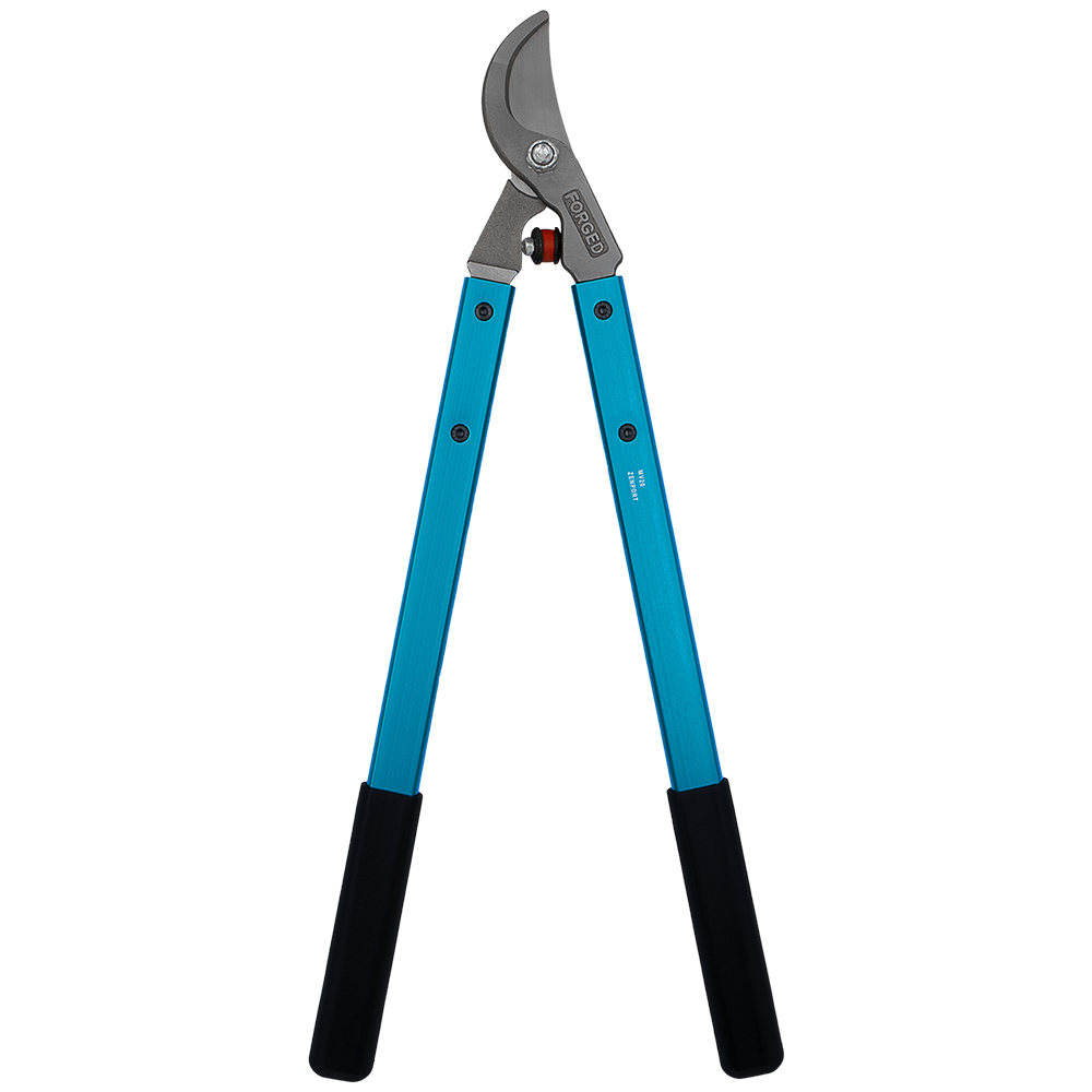 (image for) Zenport Lopper MV20 Professional Vine and Light Tree Lopper, 2-Inch Cut, Forged Head, 20-Inch Long