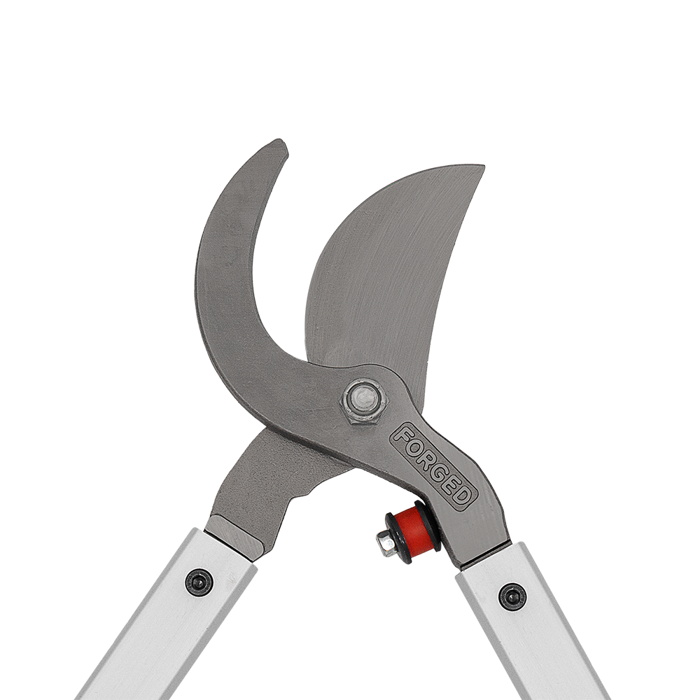 A generic image