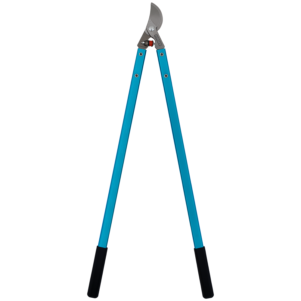 A generic image