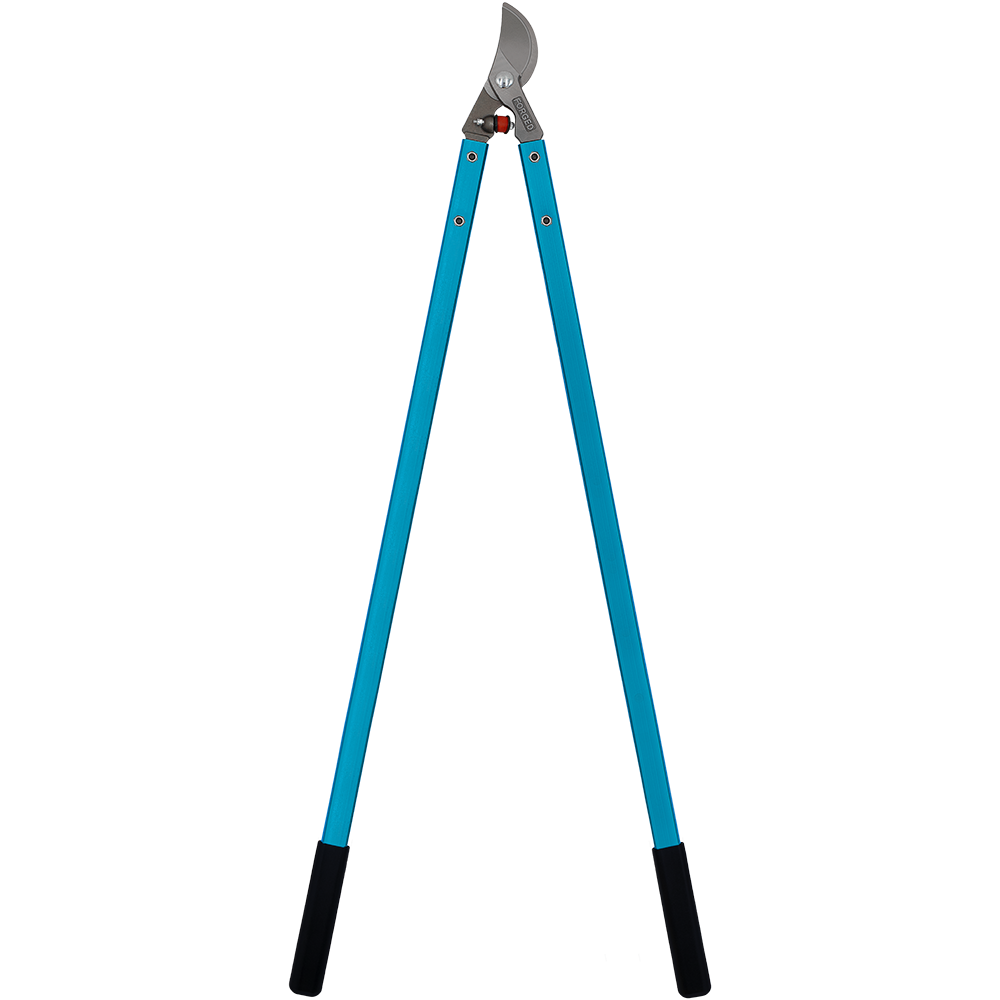 A generic image