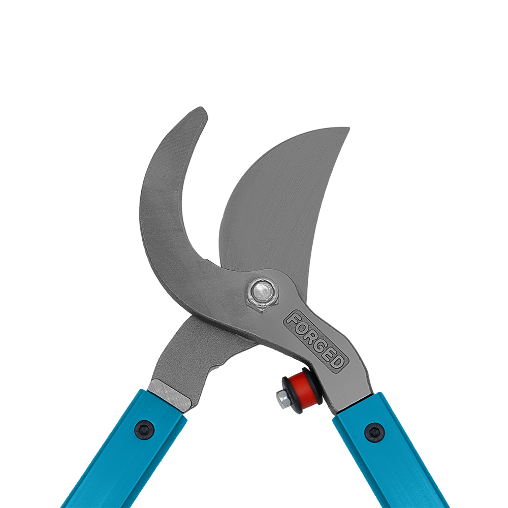 A generic image