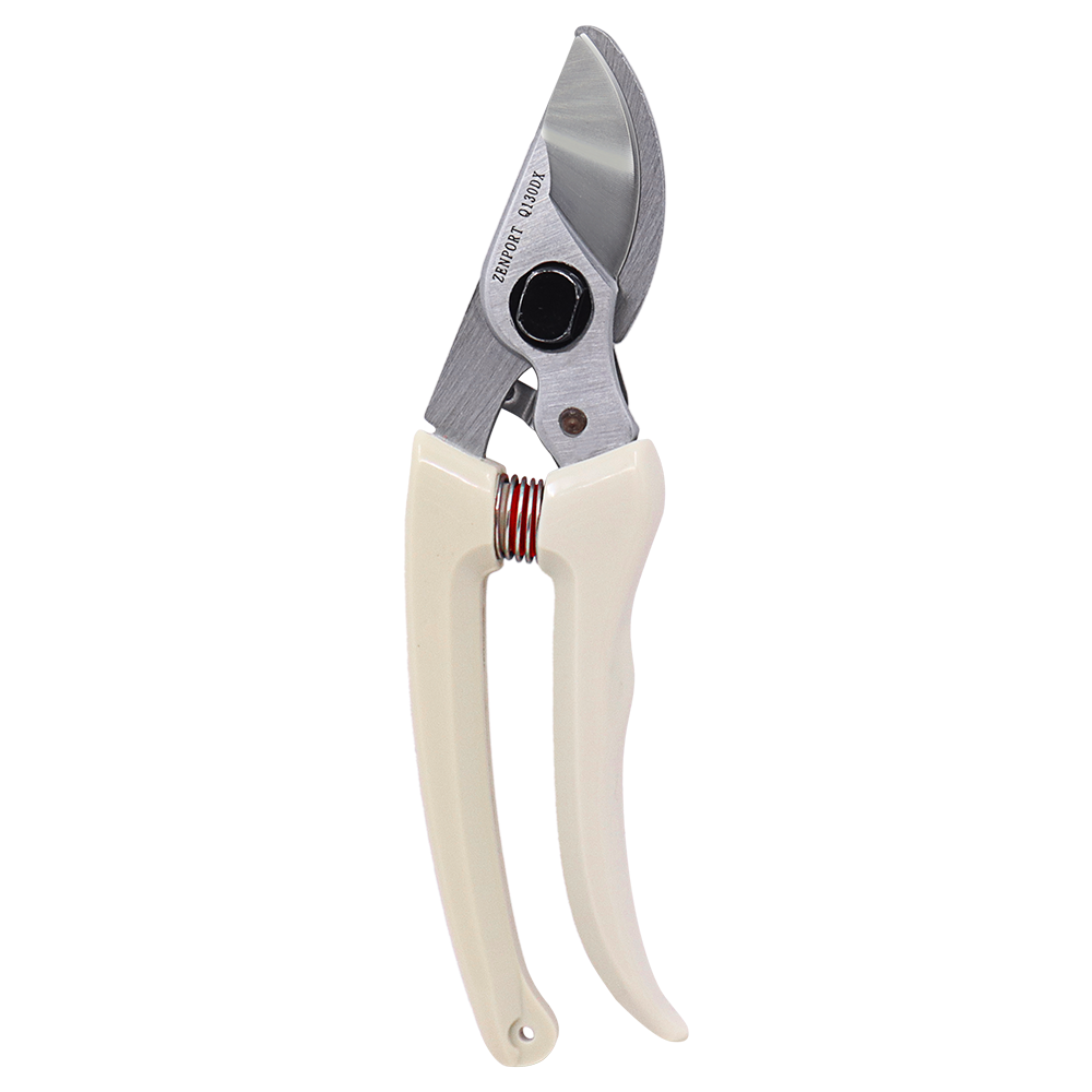 A generic image