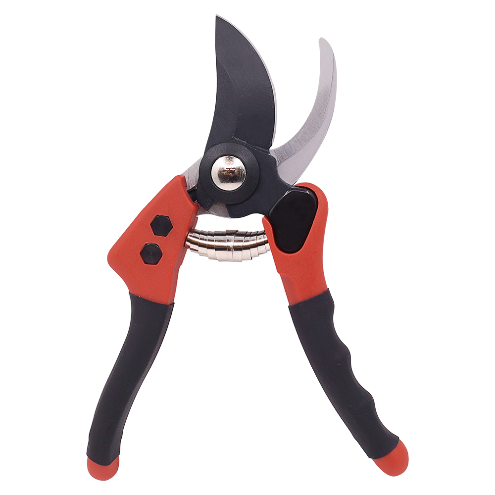 A generic image