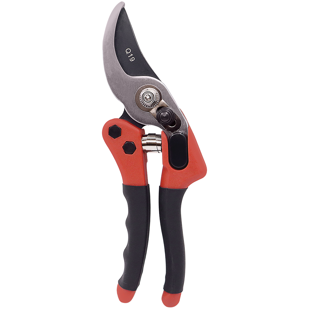 A generic image