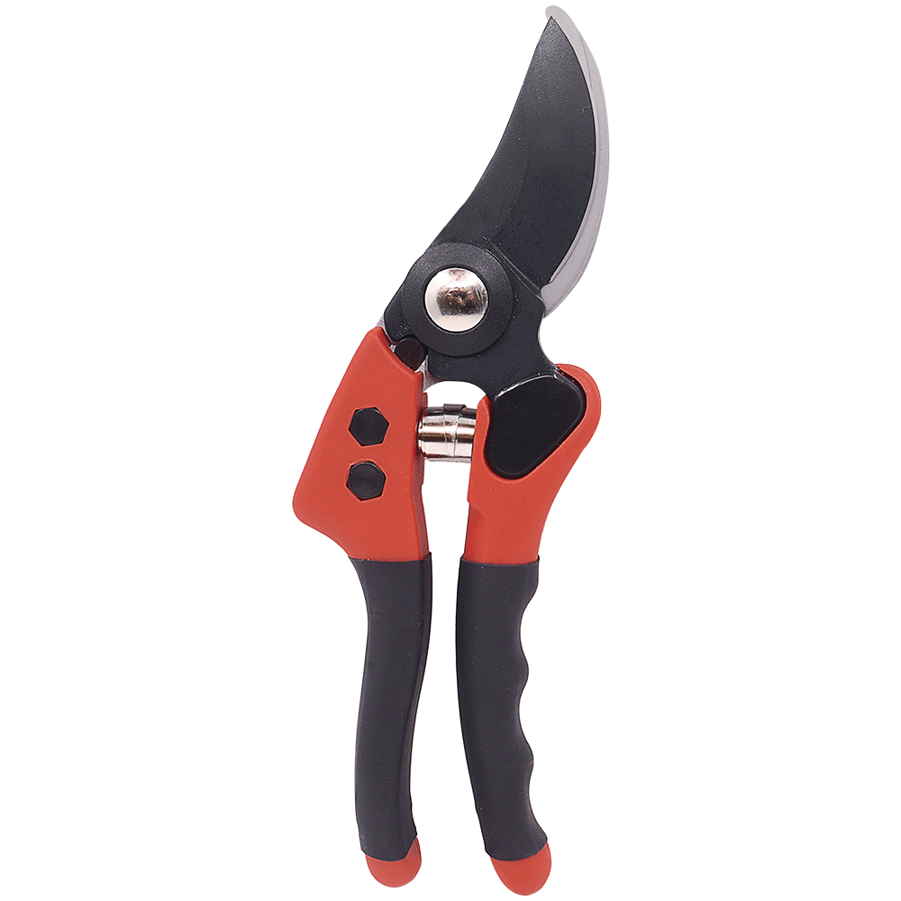 A generic image