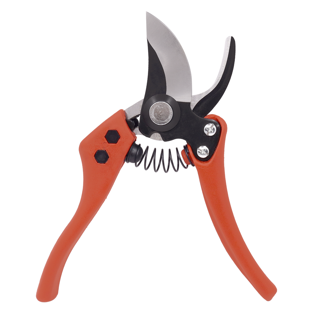 A generic image
