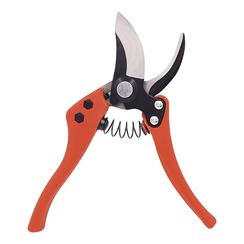A generic image