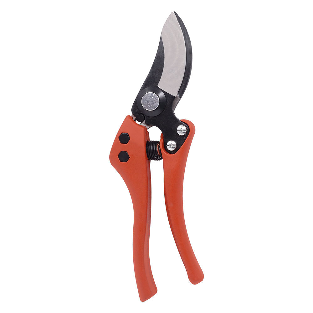 A generic image