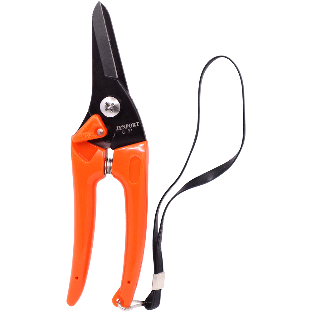 A generic image