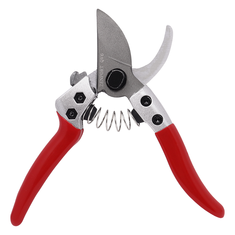 Zenport QV6 Pruner, Japanese Squeeze Open Pro, Chrome Plated Blade, Half-Inch Cut, 6-Inch Long (image for) Zenport QV6 Pruner, Japanese Squeeze Open Pro, Chrome Plated Blade, Half-Inch Cut, 6-Inch Long