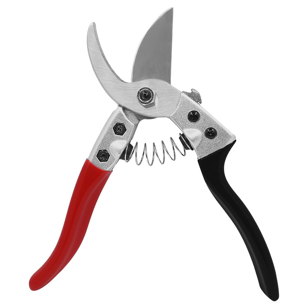 A generic image