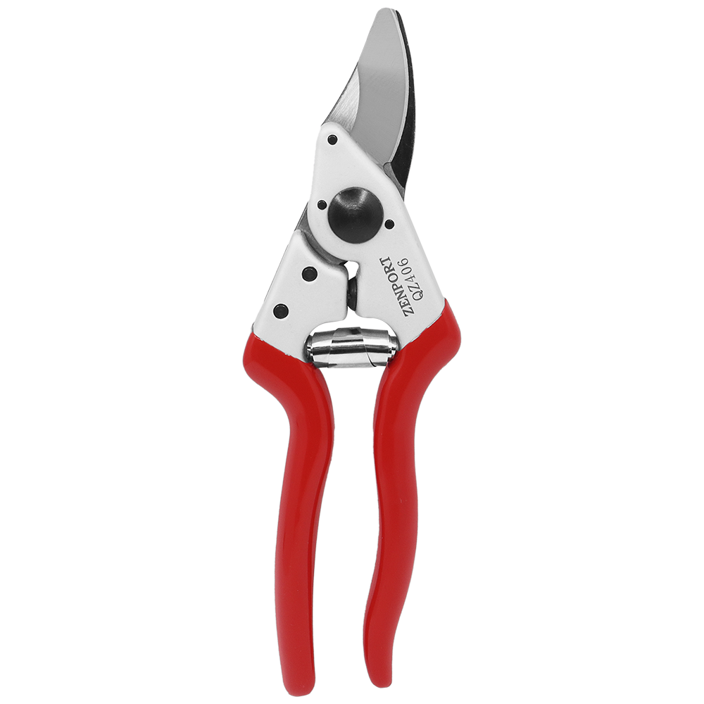 A generic image