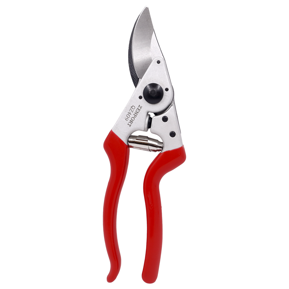 A generic image
