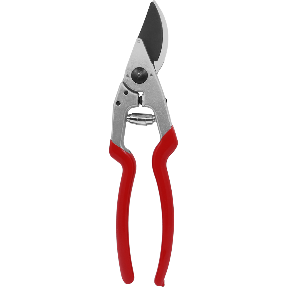A generic image