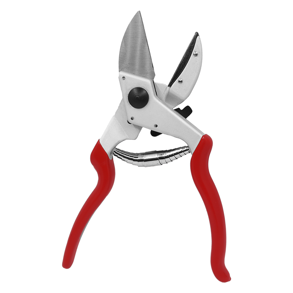 A generic image