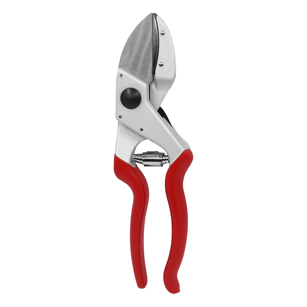 A generic image