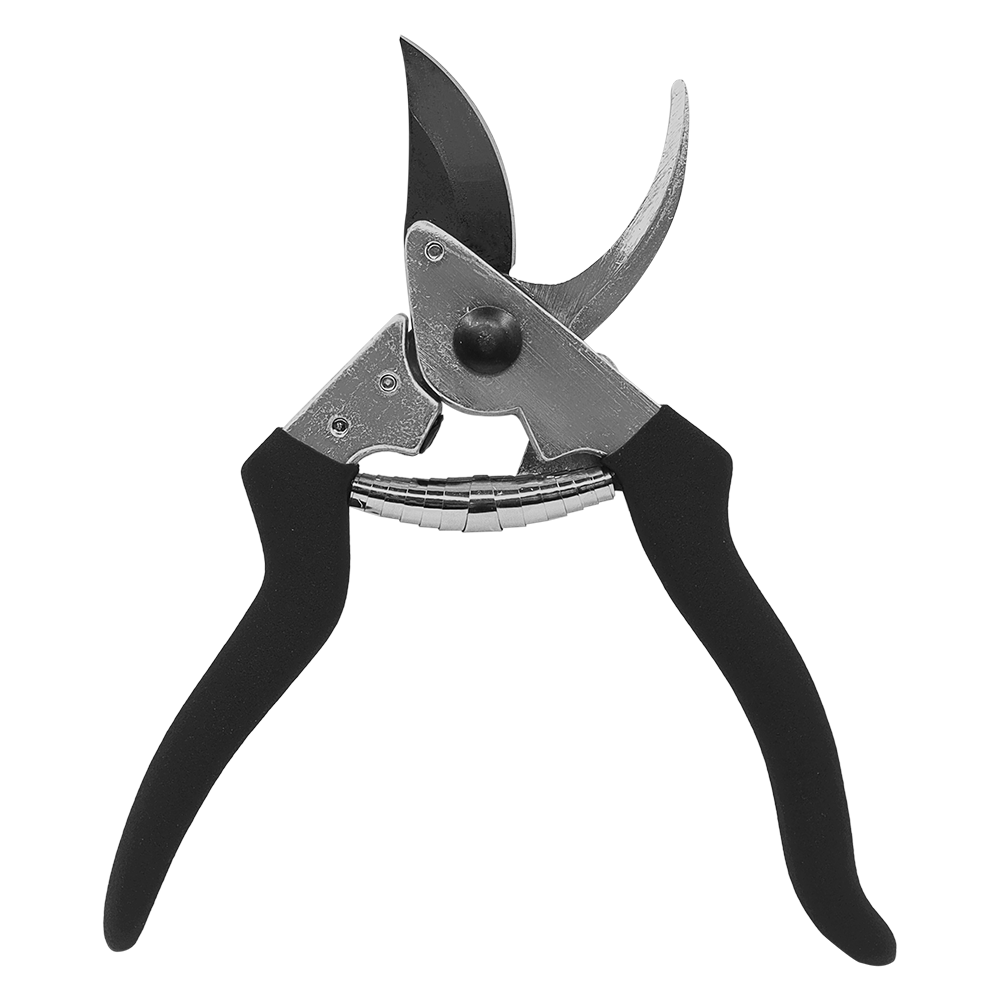 A generic image