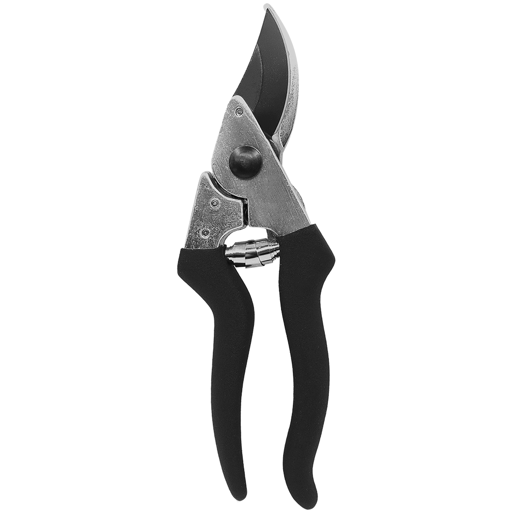 A generic image