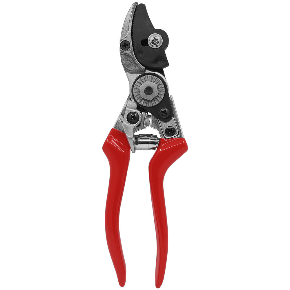 A generic image