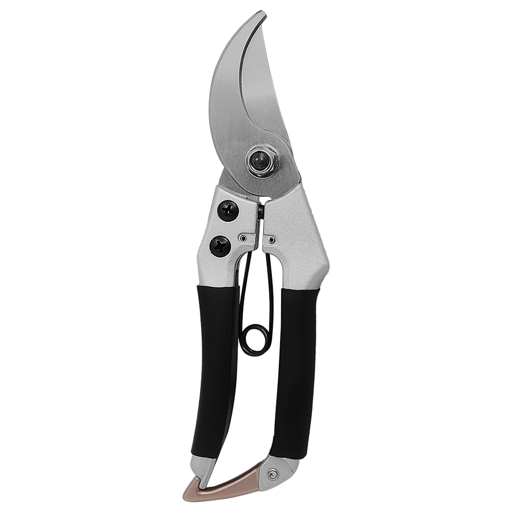 A generic image
