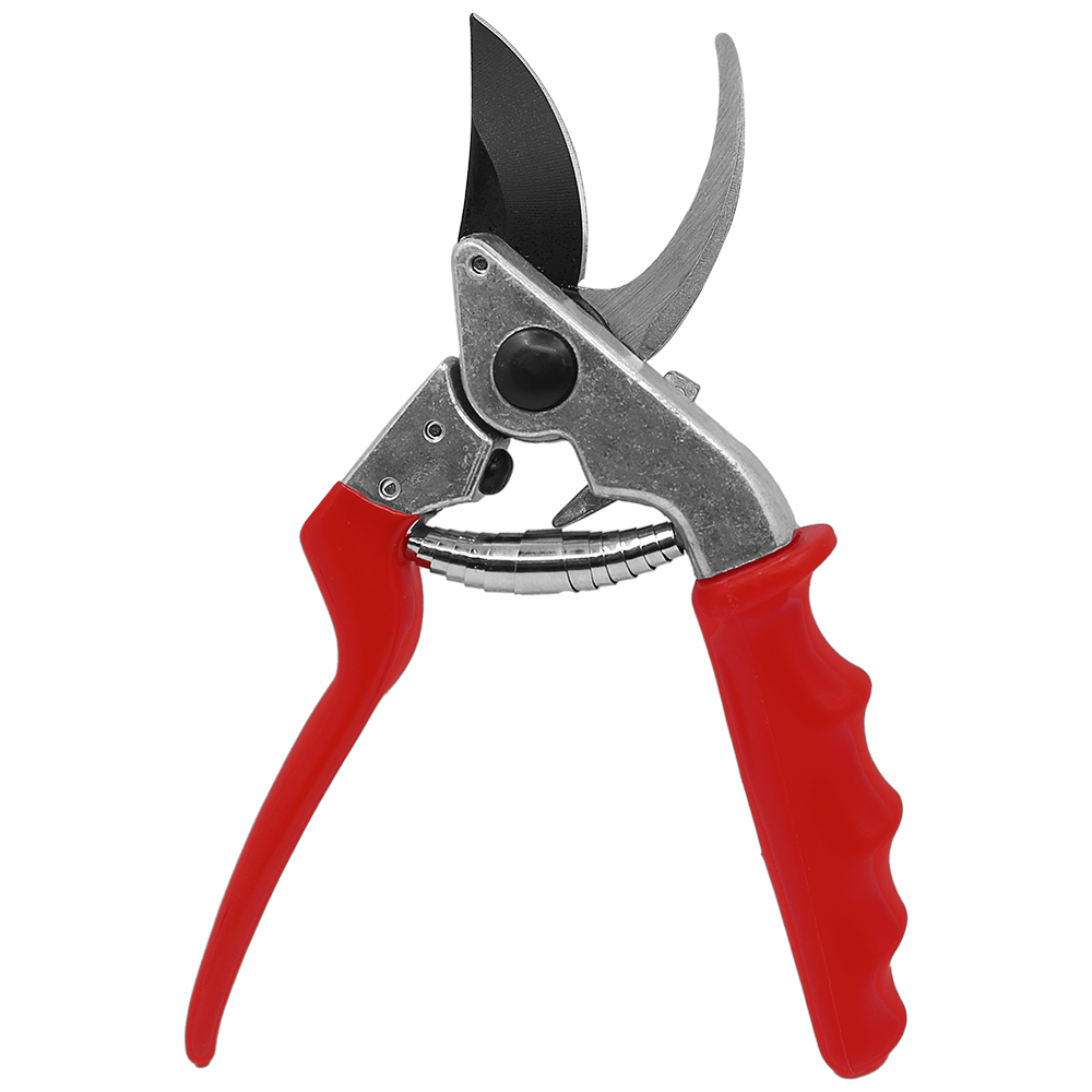 A generic image