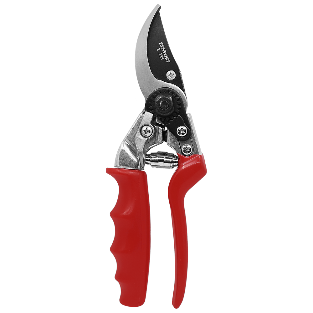 A generic image