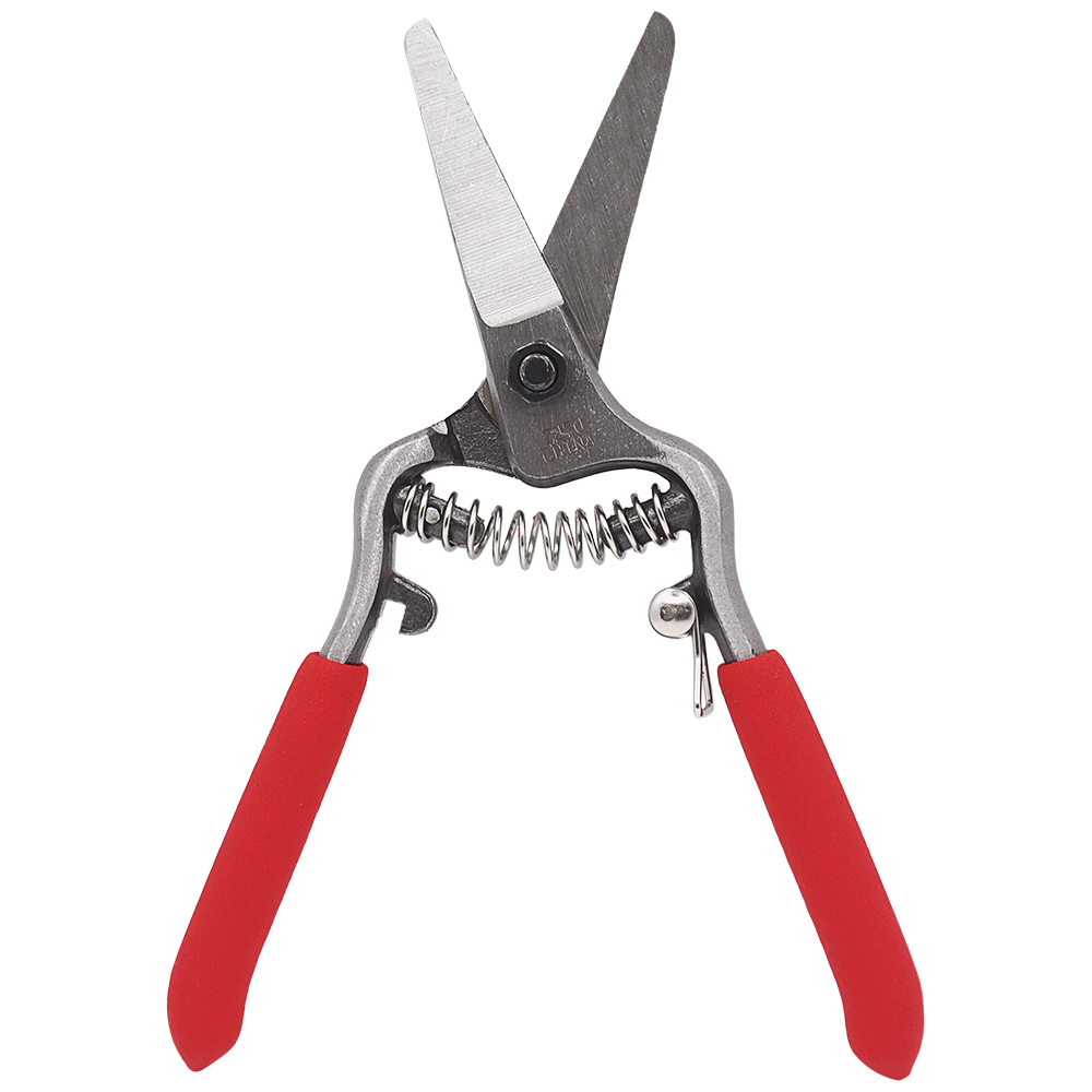 Zenport Z270 Pruner Small Needlenose Pruning Shear Pro, Bonsai and Orchids, Drop Forged Steel, 6-Inch Long, Straight Blade (image for) Zenport Z270 Pruner Small Needlenose Pruning Shear Pro, Bonsai and Orchids, Drop Forged Steel, 6-Inch Long, Straight Blade