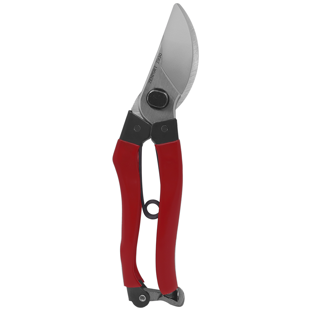 A generic image