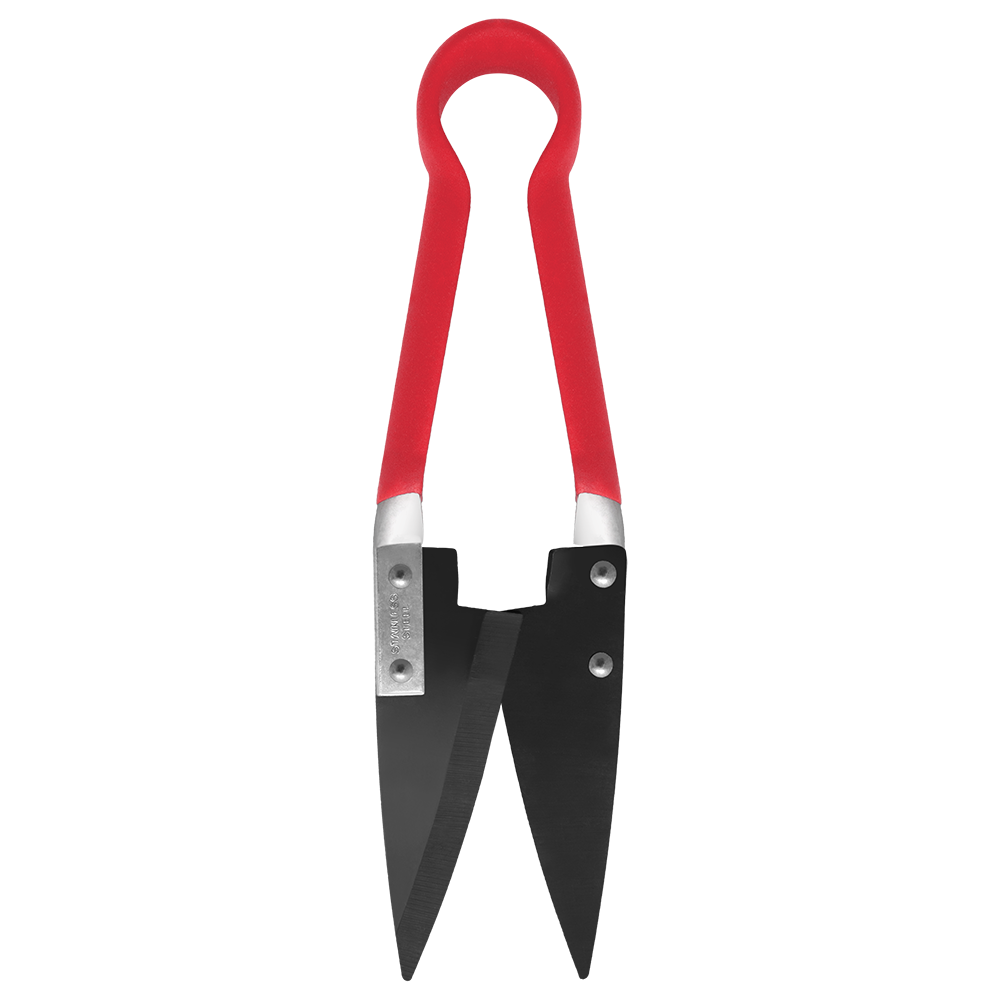 Zenport Onion Shears ZL122M Onion Topping Sheep Shear, 4.5-Inch Carbon Steel Blade, 11-Inch Long (image for) Zenport Onion Shears ZL122M Onion Topping Sheep Shear, 4.5-Inch Carbon Steel Blade, 11-Inch Long