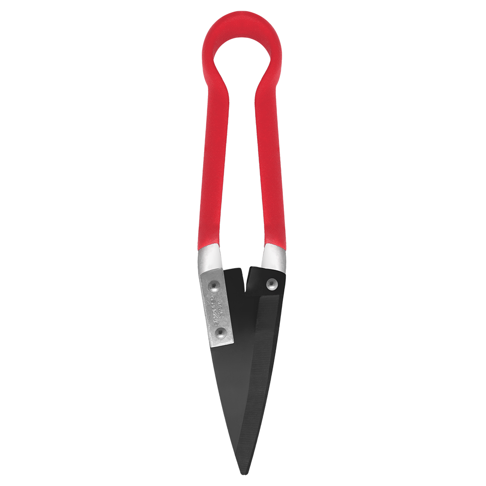 A generic image