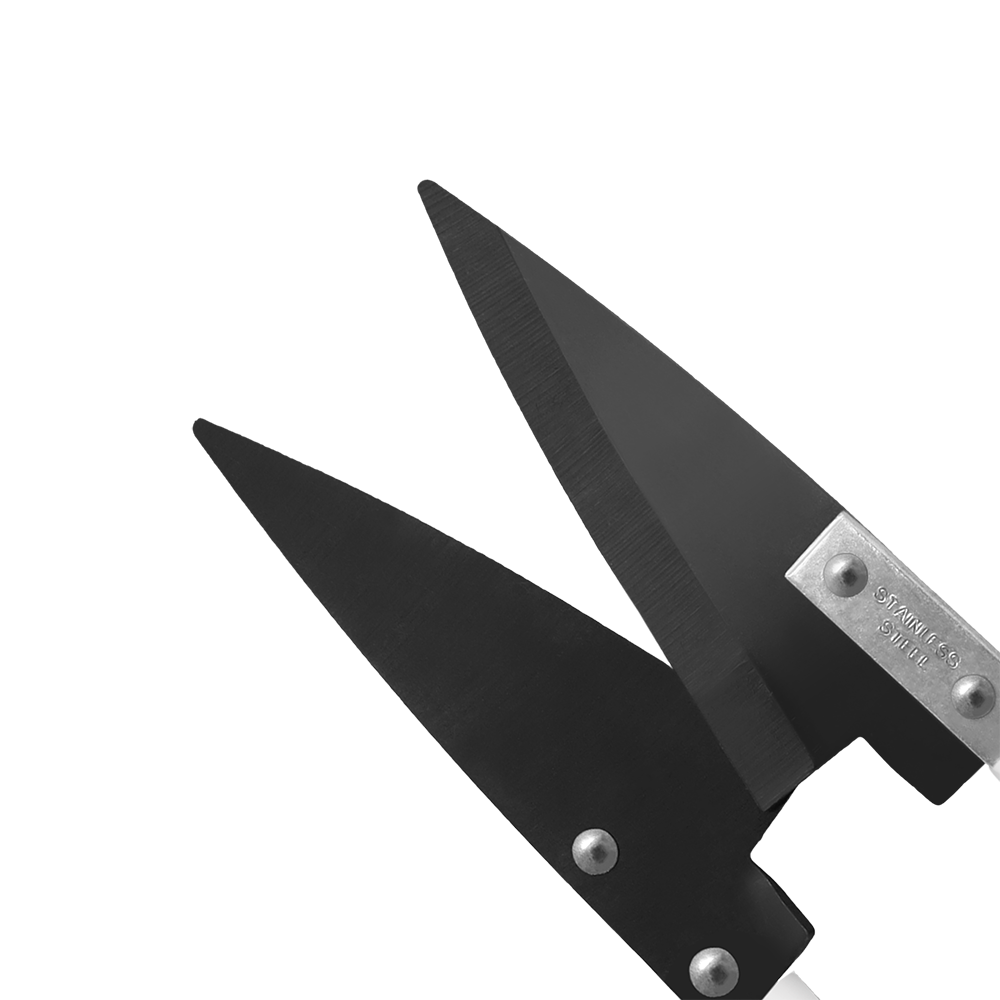A generic image