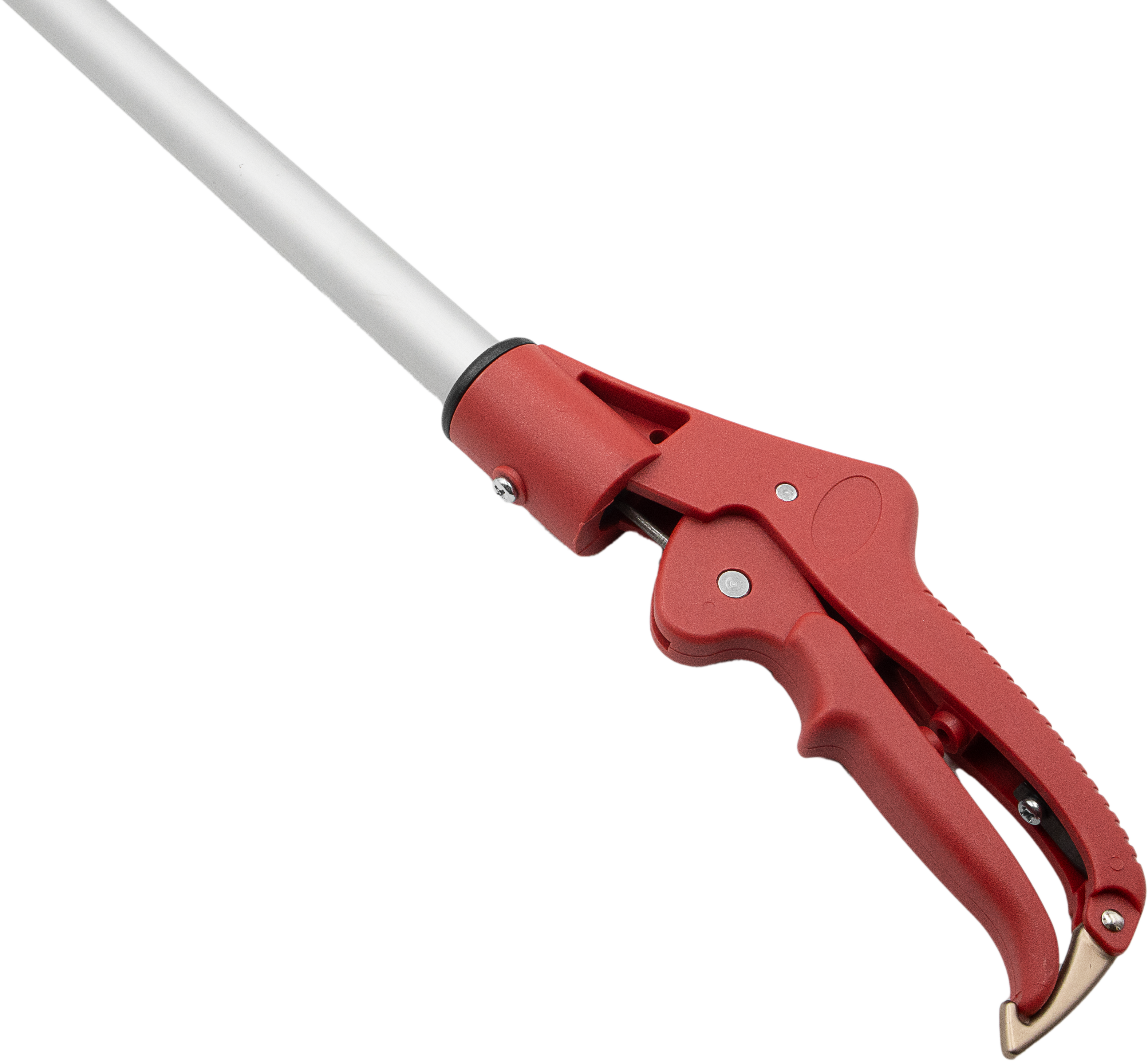 A generic image